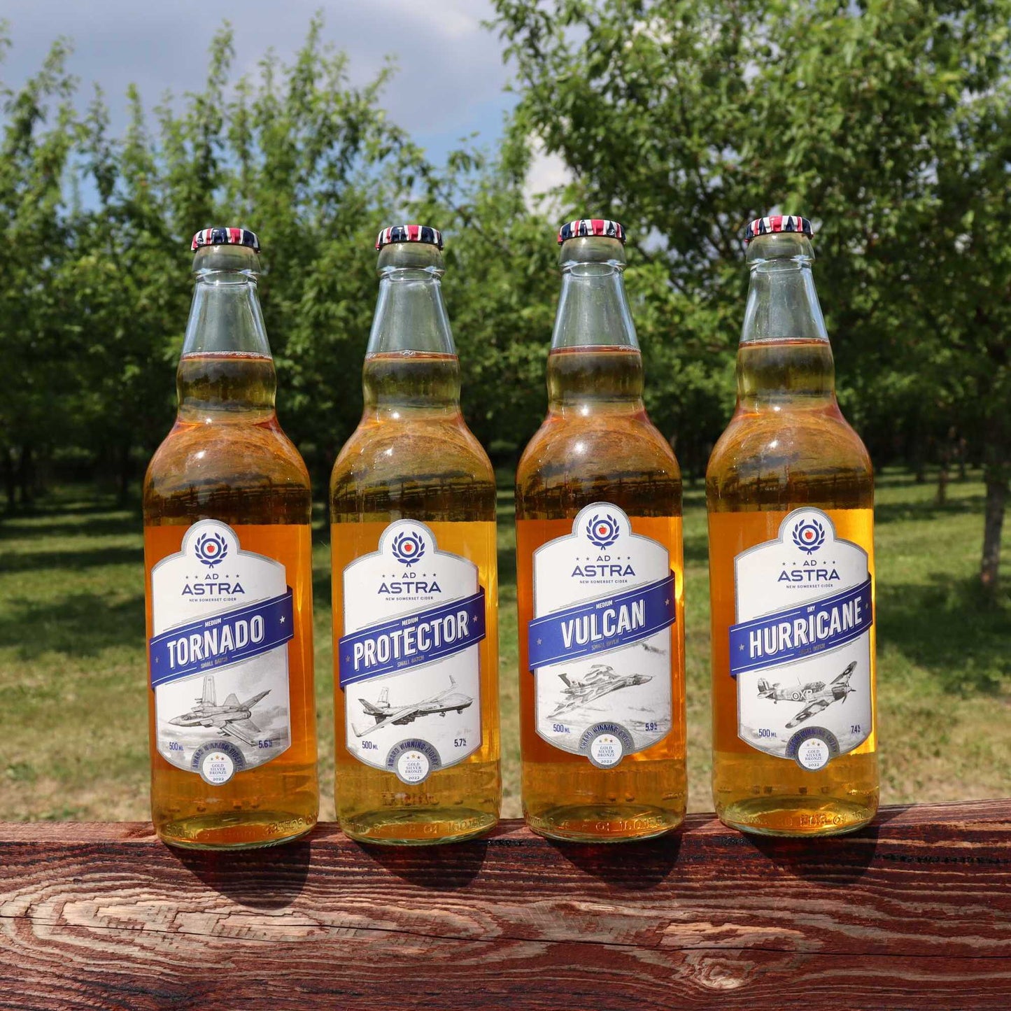 2024 Mixed Cider Case